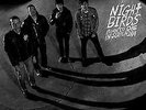 New Music Night Birds 