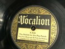 COUNTRY UNCLE DAVE MACON FRUITJAR DRINKERS Vocalion 5156 Rabbit in Pea Patch E-
