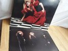 Stevie Nicks The Other Side of the Mirror 12 Inch Vinyl Record Album