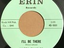 Harry Charles-I'll Be There/I Want The Best For You Erin 45-1001 NM teen pop