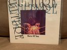 Culture Born Of You Orange Vinyl Lp Shai Hulud Morning Again Unbroken