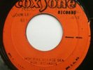HOPEFULL VILLAGE SKA - ROY RICHARDS - DELROY WILSON - COXSONE JA 7