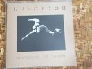 LUNGFISH Necklace of Heads LP RARE Dischord Hardcore Punk