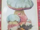 THE BEATLES She Loves You RARE 60s POLISH postcard record FLEXI DISC Mushrooms