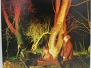 Echo and the Bunnymen - Crocodiles - 1980 SIRE Records (SRK-6096)  Record is NM