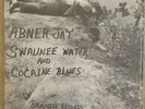 Abner Jay Swaunee Water And Cocaine Blues Mono LP. In Opened Shrink. NM Rare