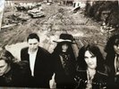 The Black Crowes - The Southern Harmony And Musical Companion VINYL