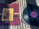 Black Magick SS Spectral Ecstasy Vinyl