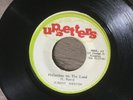 JUNIOR MERVIN - Philistines On The Land, original 7” vinyl roots reggae Ja 76