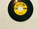 ROCKABILLY MARVIN RAINWATER HOT AND COLD / MR. BLUES 45 RPM 1956