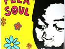 Fela Soul - Fela Kuti vs De La Soul LP Amerigo Gazaway Neu Black Vinyl