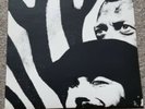 Vinyl Yello Zebra