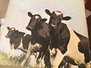 Pink Floyd - Atom Heart Mother Vinyl, LP, Album, (With Drip Loop) 1st Pressing