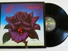 THIN LIZZY - BLACK ROSE LP EX+ VINYL Original 1979 Rare Dutch Holland Album