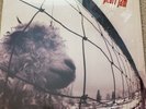 Pearl Jam Vs 1993 vinyl