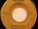 Cleveland Robinson Mr. Wishing Well 45 EX 1969 Northern Soul Nosnibor