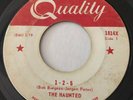 GARAGE PUNK The Haunted 1-2-5 Quality 45 very rare Canadian KILLER