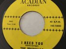GARAGE PUNK R&B The Prodigals I NEED YOU Acadian 45 very rare NM