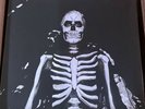 The Maine - Forever Halloween /500 RARE PILLAR EXCLUSIVE Cloudy Orange Vinyl LP