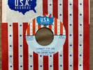 The Cherry Slush - I Cannot Stop You / Don’t Walk Away - USA 45 VG++ Psych