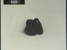 Chelsea Wolfe - Hiss Spun on Pale Green & Silver vinyl. Minor corner damage.