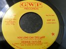 Debbie Taylor How Long Can This Last / Don't Let It End