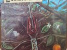 Dragonfly  Self-Titled  Psych; Hard Rock; Blues Rock   RARE LP