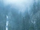 WOLVES IN THE THRONE ROOM - DIADEM OF 12 STARS NEW VINYL