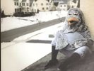 The Wonder Years - Suburbia I've Given You All •Clear Vinyl LP + Poster - NM