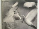 Donald Byrd Free Form LP EX/NM DMM 80s Pressing Blue Note Jazz