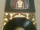 CHRIS SQUIRE - FISH OUT OF WATER LP + INNER  UK 1ST PRESS ATLANTIC GATEFOLD YES