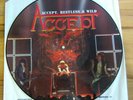 Picture-Disc/LP Vinyl 12