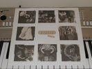 PIXIES - LIVE OG 1989 ELEKTRA RECORDS VINYL ONE-SIDED PROMO E.P TEXTURED COVER