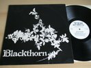 BLACKTHORN,  ORIGINAL SIGNED FOLK LP, BLACKTHORN, W.H.M 1921, FOLK 1977