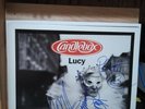 Candlebox Lucy Signed Autographed 2 LP 1993, 1995 Maverick 9 46076-1