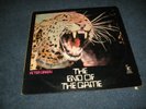LP-  Peter Green - The End of the Game - Bluesrock / Reprise