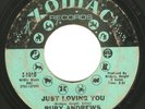 Northern Soul 45 RUBY ANDREWS 