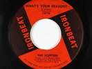 Garage 45 - Scepters - What's Your Reason? - Ironbeat - mp3 - obscure