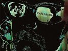 Rare Earth Ecology (Vinyl LP) 12