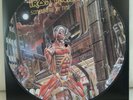 Iron Maiden Picture Disc Vinyl Somewhere in Time Bruce Dickinson Judas Priest...