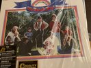 Sunflower The Beach Boys 200g Vinyl Analogue Productions Super Sound Wilson Bri