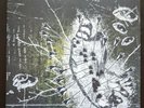 Destroyer Destroyer 'Littered With Arrows' Limited to 100. Wax Vessel Records