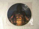 TOOL 1996 Cesaro Summability Promo Picture Disc Aenema Third Eye Vinyl LP RARE