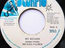 Michael Palmer ?– My Region Rare Reggae 7