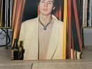 Sid Vicious - Sid Sings Vinyl LP