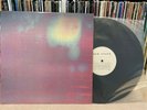 New Order - Bizarre Love Triangle State of the Nation 12