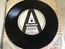 The Parameters - Pig City   Brisbane OZ Punk “Signed”