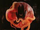 Murder by Death - The Other Shore Vinyl LP