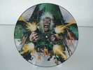 Iron Maiden No Prayer for the dying picture disc vinyl LP