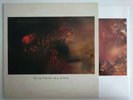 COCTEAU TWINS VICTORIALAND 4AD CAD 602 ELIZABETH FRASER ETHEREAL INNER